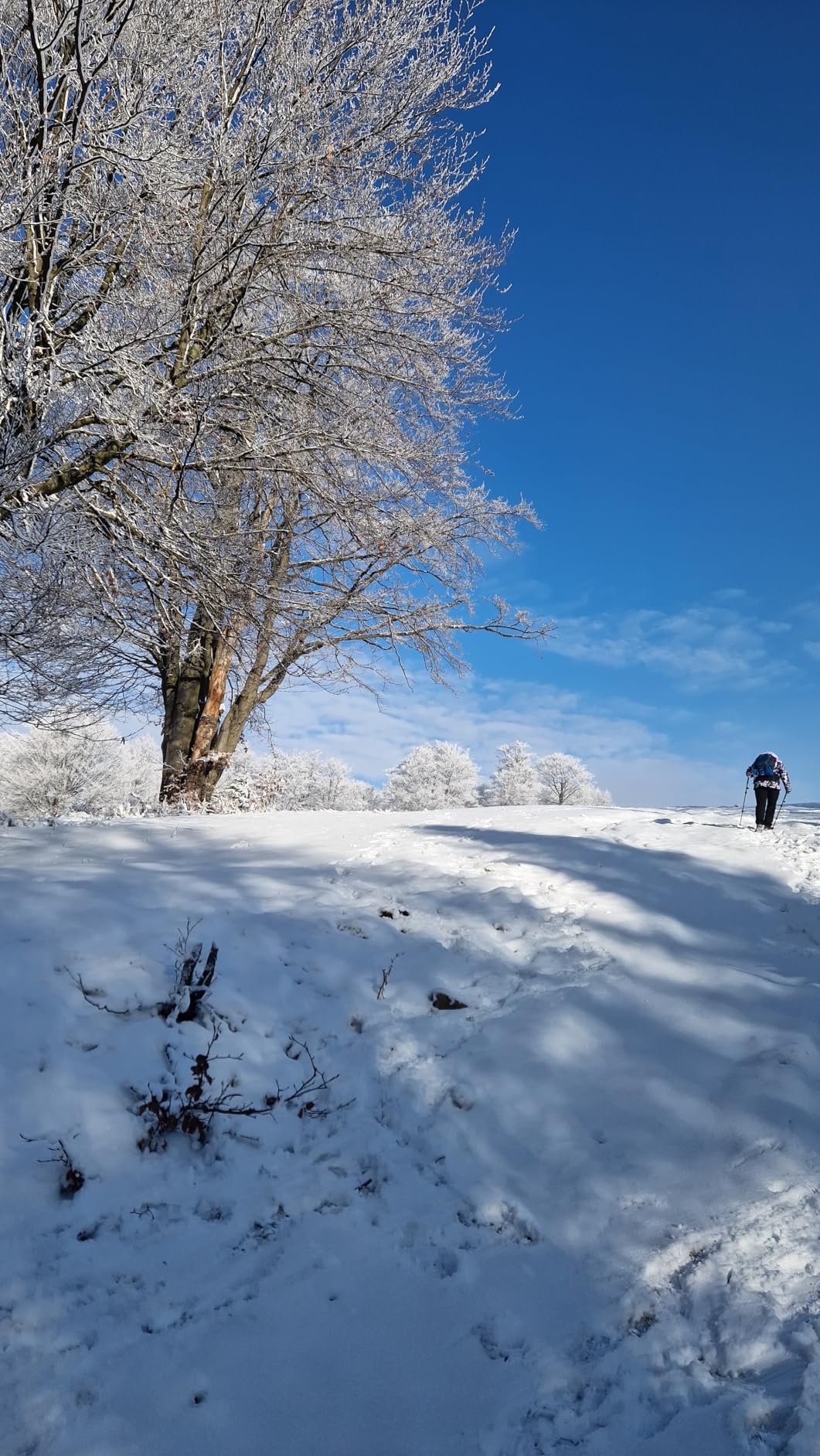 Hält extrem warm